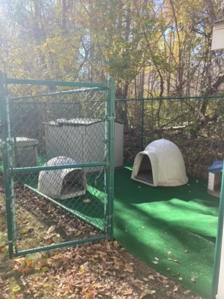 Our Northfield Handyman reorganized and upgraded the living and play area for the dogs in Haverhill, MA.

