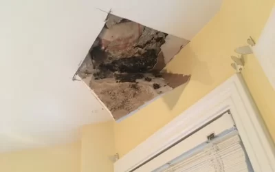 Ceiling Repair in Georgetown, MA.