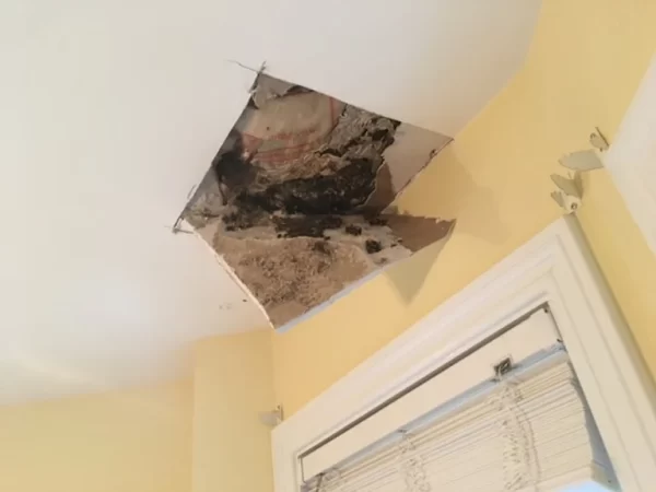 Ceiling Repair in Georgetown, MA.