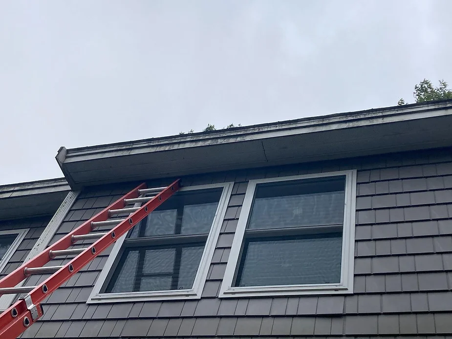 Handyman Service and Storm Repairs in Newton, MA