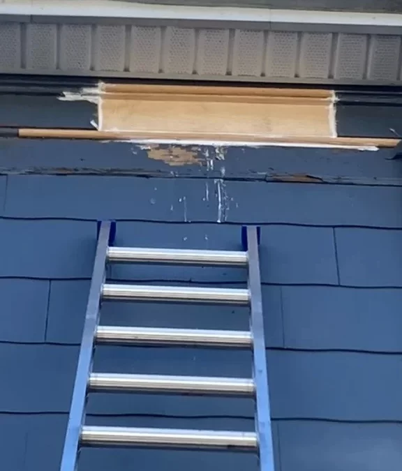 Fascia Board Repair and Bird Nest Removal in Haverhill, MA.