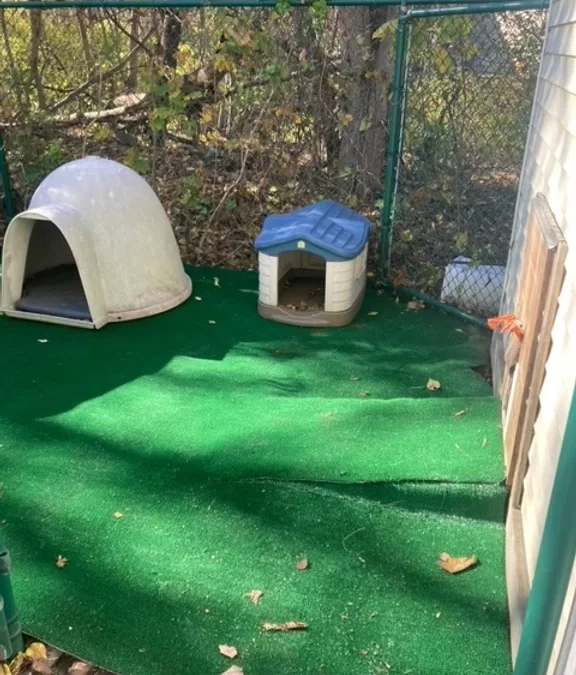 Dog Area Upgrade in Haverhill, MA.