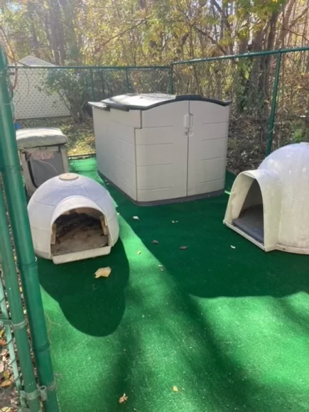 Our Northfield Handyman reorganized and upgraded the living and play area for the dogs in Haverhill, MA.

